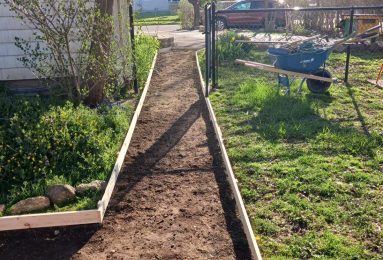 WhatsApp Image 2025-03-06 at 4.52.32 PM (4)