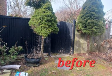 WhatsApp Image 2025-03-20 at 9.11.57 AM (4)