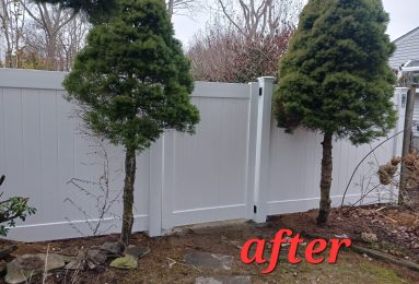 WhatsApp Image 2025-03-20 at 9.11.57 AM (5)