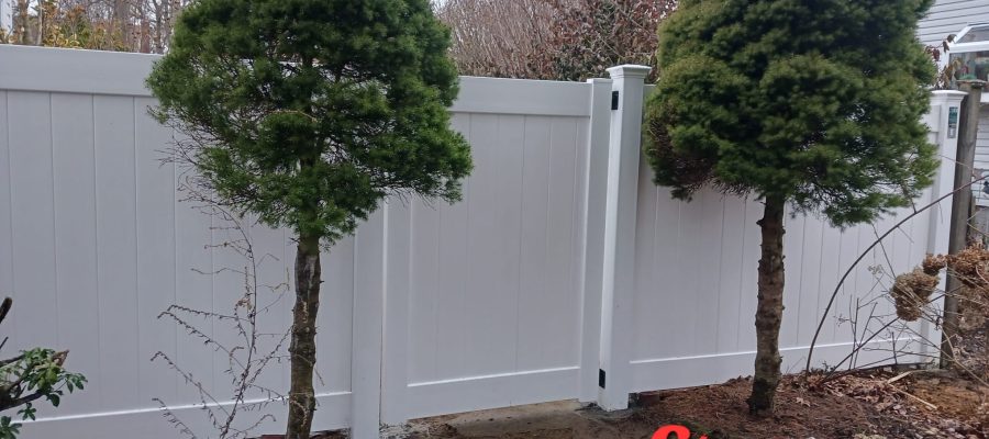 WhatsApp Image 2025-03-20 at 9.11.57 AM (5) WhatsApp Image 2025-03-20 at 9.11.57 AM (5)