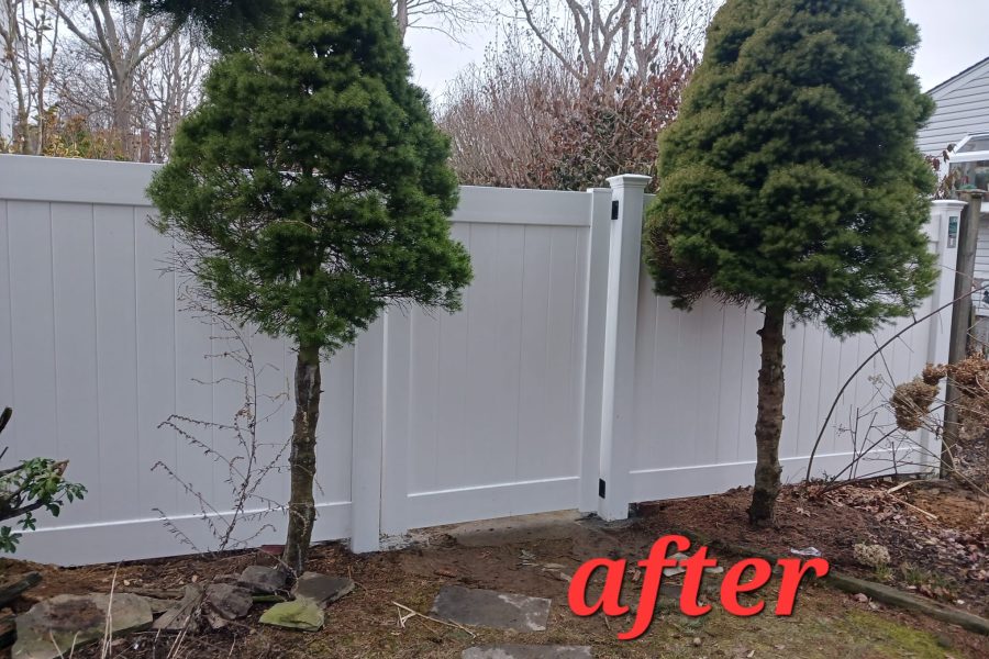 WhatsApp Image 2025-03-20 at 9.11.57 AM (5)